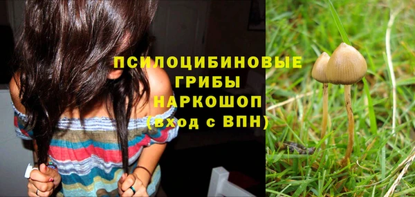 дурь Белоозёрский