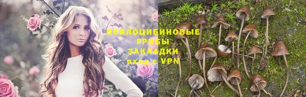кокаин Белокуриха