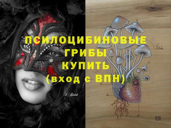 кокаин Белокуриха