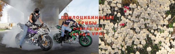кокаин Белокуриха