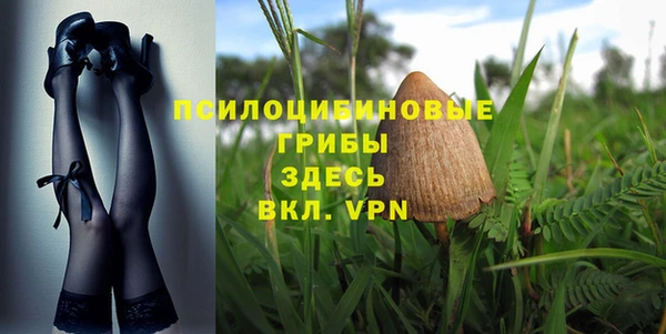 кокаин Белокуриха