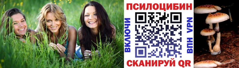 Галлюциногенные грибы Cubensis  Шарья 
